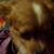 Teresa Dees's profile image