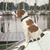 Greg Gering's profile image