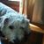 William Bailey's profile image