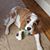 Susan Mumm Bender's profile image
