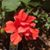 Sonja Wagner Welborn's profile image
