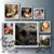 Moore Lynn Amy's profile image