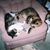 Pam Folkerth's profile image