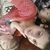 Alisha Ann Walker's profile image