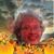 Lori Flemens Smeby's profile image