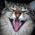Melva Jeter's profile image