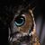 Tracey Jones's profile image