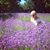 Laurie Holland Klein's profile image