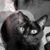 Brenda Jacobs's profile image