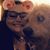 Elizabeth Rafferty's profile image