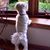 Mary Jo Foss's profile image