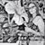 Milma Ramos's profile image