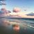 Donna Shirk's profile image