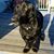 Cathy LeFebvre Le Beau's profile image