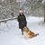 Paula J Quatkemeyer's profile image