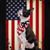 Rudy Nieves's profile image