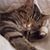 Miriam Kelly's profile image
