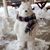 Andrea Hibberd McCarthy's profile image