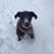 Emily Hutelmyer's profile image