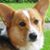 Debra Farrell's profile image