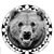 Jay Donahue's profile image