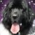 Patricia Smock's profile image