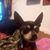 Tim Daniel Wagoner's profile image