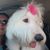Arnette Arroyo's profile image