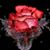 Frances M Frank's profile image
