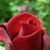 Md Nishad's profile image