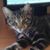 Sue Robinson's profile image
