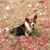 Theresa Renegar's profile image