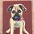 Christine Guenther's profile image