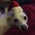 Julie Hansen's profile image