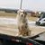 Sherry Poad's profile image