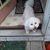 Norma Taylor's profile image