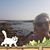 Ayelet Stavsky's profile image