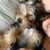 Jodi Niemann's profile image