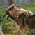Paula Hensinger's profile image