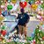 Christopher Fulton's profile image