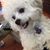 Johnny Chan's profile image