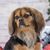 Linda Loukota Anderson's profile image