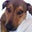 Oliver Shoemaker's profile image