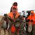 Steve Palubiak's profile image