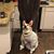 Diane Clark Vroenen's profile image