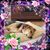 Heather Marie Barrett's profile image