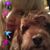 Mary Gil's profile image