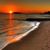 Sharon Pace Lima's profile image