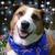 Mary Beth Davis's profile image