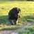 Audrey M Frazier's profile image